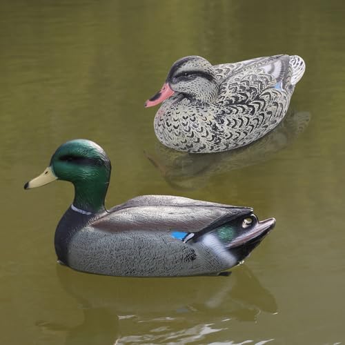 Realistic Mallard Duck Decoy Pair for Hunting and Garden Decor - 2 Mallards