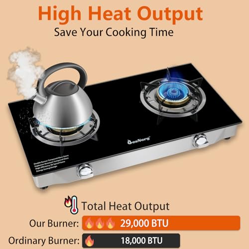 2 Burner Propane Gas Stove with Auto Ignition, 29000 BTU Outdoor Camping Cooktop - Heavy-Duty Tempered Glass, CSA Regulator & Hose Included