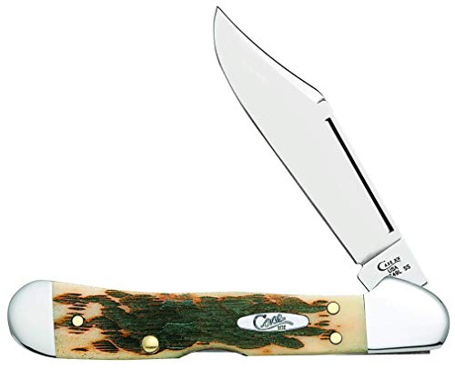 Case XX WR Mini Copperlock Pocket Knife Amber Bone 2.7-inch Lockback with Shield