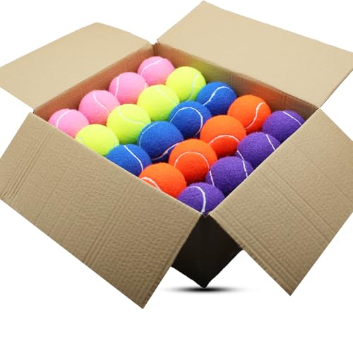 Multicolor Tennis Balls Bulk Pack - 40 Practice & Dog Training Balls