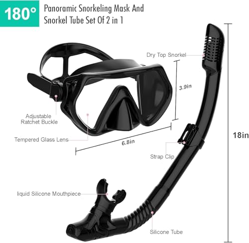 Adult Snorkeling Gear Set with Anti-Fog Goggles and Dry Snorkel - Black