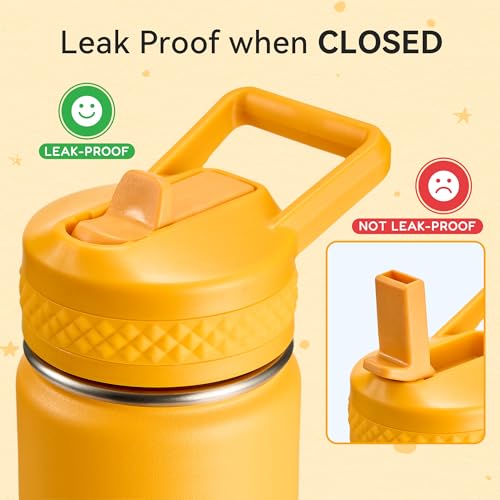 Kids Insulated Water Bottle with Straw - Sunrise / 12 Oz Stainless Steel
