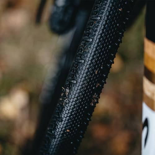 Schwalbe G-ONE RS PRO Gravel Bike Tire 40-622 Transparent Sidewall - E-Bike Ready