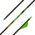 Gold Tip .246 Hunter XT Carbon Arrows with 2-inch Raptor Vanes - 400 Count