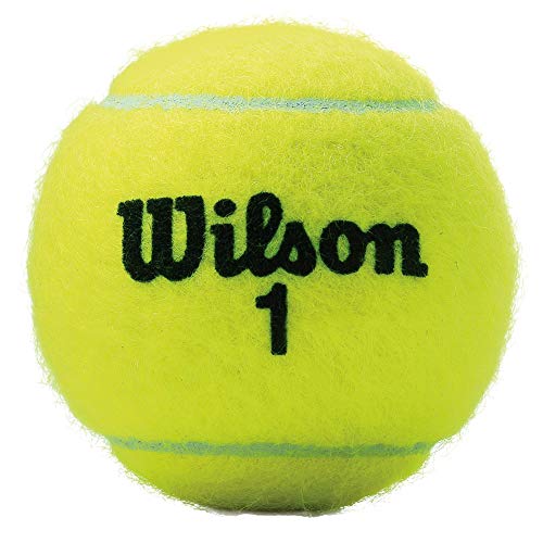 Wilson Championship Extra Duty Tennis Ball Case - Professional Recreation Equipment