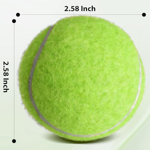 80 Pack Pressureless Tennis Balls for Dogs & Training - Durable & Portable
