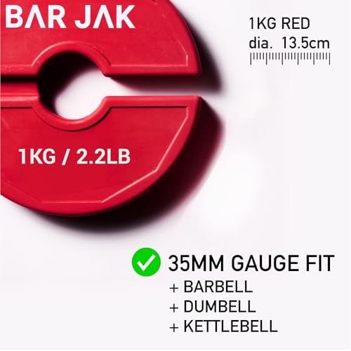 1kg Micro Weight Plates Set - Fractional Dumbbell & Kettlebell Weights for Strength Training