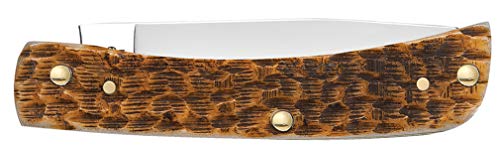 Case XX WR Pocket Knife 2.8” Amber Bone Sod Buster Jr. Made in USA