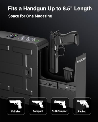 Biometric Gun Safe for Handgun with Fingerprint, Password & Key - MOLICAR Nightstand Safe