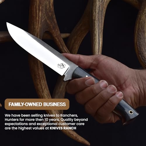 10.5-Inch Full Tang Bushcraft Hunting Knife with Micarta Handle & Leather Sheath