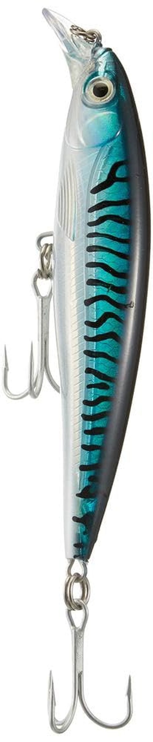 Rapala X-Rap Saltwater Fishing Lure (Silver Blue Mackerel, 5.5-Inch)