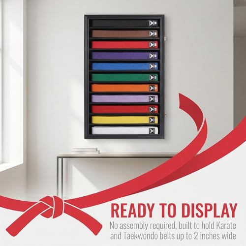 Martial Arts Belt Display Case Wall Rack with Lockable Acrylic Door - 11 Rows, Black Finish
