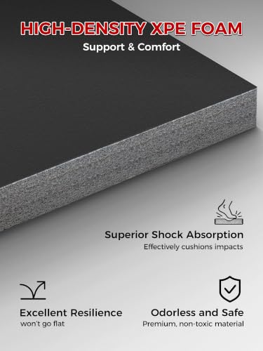 HIAARO Foldable Wrestling Mat 10x10ft, Non-Slip Shock Absorption for BJJ & Martial Arts