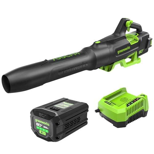 80V Electric Leaf Blower with 700 CFM & 2.5Ah Battery - Axial Blower Variation