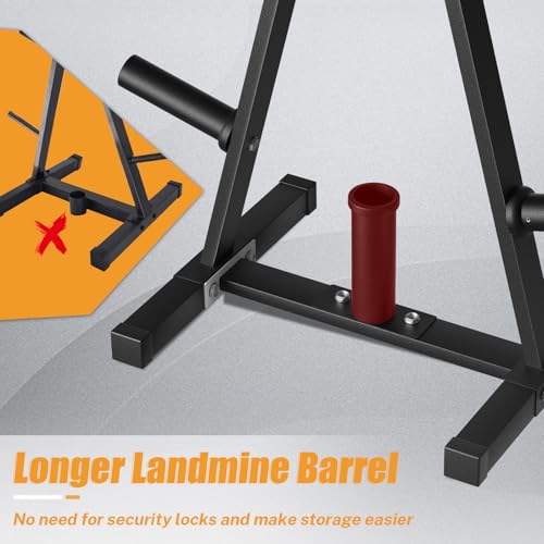 Heavy Duty Olympic Weight Plate Rack for Home Gym Storage