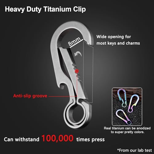 Small Titanium Carabiner Keychain Clip - Silver, 2 Inch Heavy Duty Keyring