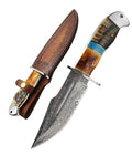Himalt 10.5" Handmade Damascus Fixed Blade Hunting Knife with Sheath, Ram Horn & Camel Bone Handle, Outdoor Survival Knife for Men