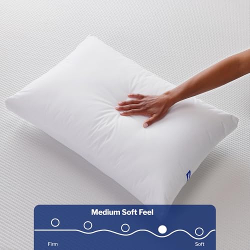Casper Sleep Essential Pillow 2-Pack - Standard Down-Alternative Bed Pillows, Medium-Soft Support