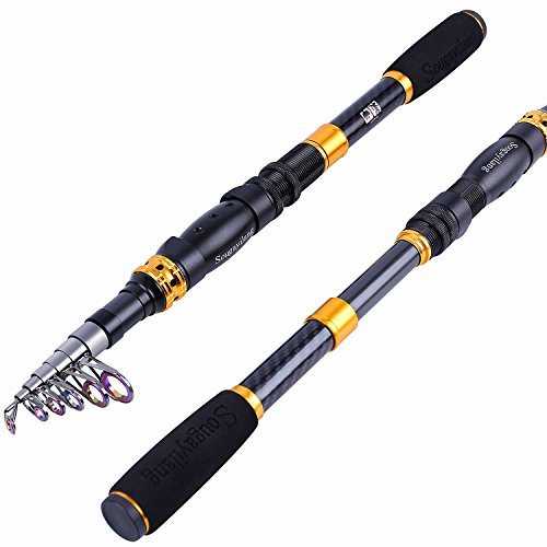 Ultralight Telescopic Fishing Rod 24 Ton Carbon Fiber for Saltwater & Freshwater
