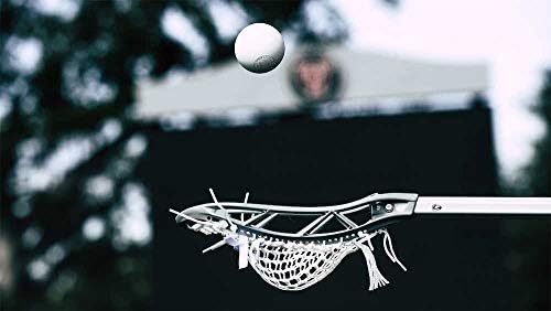 Signature Lacrosse Ball Set - Chemical-Free Massage Balls for Myofascial Release | Available in 2, 4, 8, 12, or 120 Packs