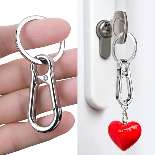 Heavy Duty Metal Keychain Carabiner Clips Set - Silver, 10 Pack