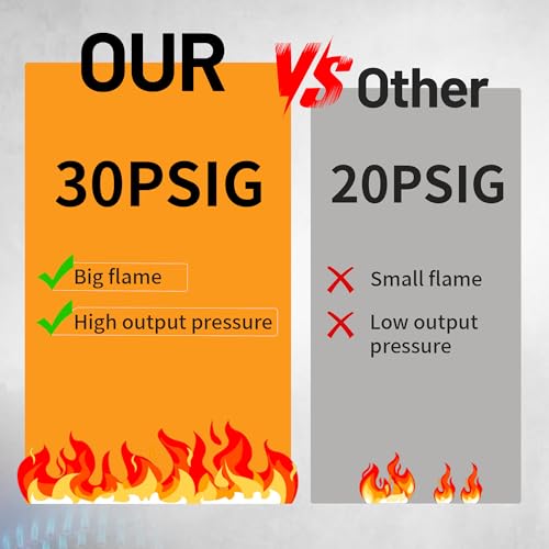 FSUON 3-Burner Outdoor Camping Stove 225000 BTU, Detachable Legs, Adjustable Heat, New Model