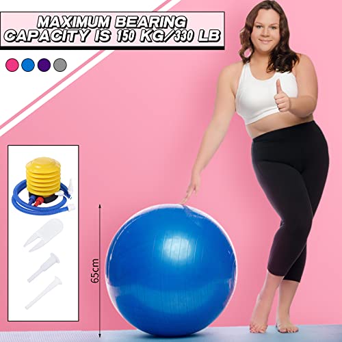 Multicolored 10-Piece Pilates Exercise Balls 65cm with Pump & Accessories