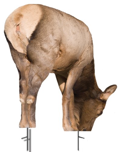 Montana Decoy Miss September Cow Elk Feeding Decoy for Hunting
