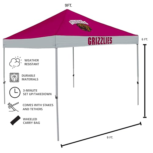 South Carolina Gamecocks Canopy Tent - 9x9 ft Water-Resistant Outdoor Shelter with Steel Frame