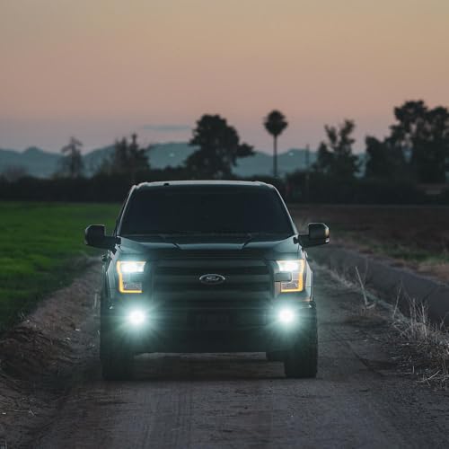 Rigid Industries D-Series Pro LED Flood Light Pods Pair - Off-Road & Work Lighting