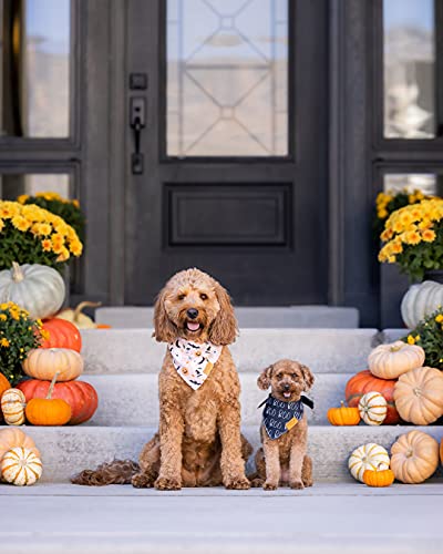 Remy+Roo Spooky Halloween Dog Bandanas X-Large - 2 Pack, Adjustable & Durable