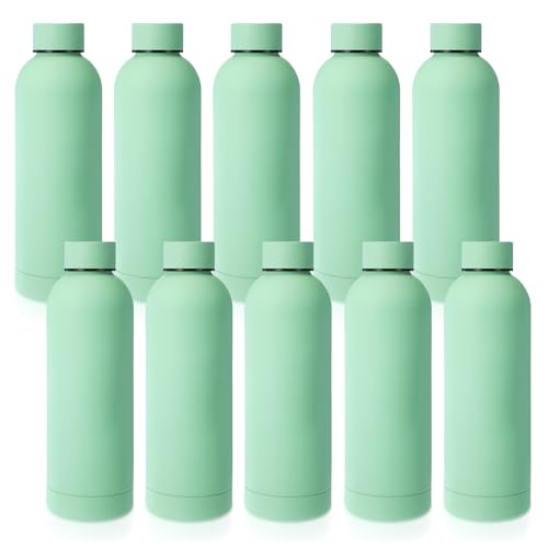 17 oz Stainless Steel Water Bottles Bulk Set - Reusable Travel & Gym Hydration