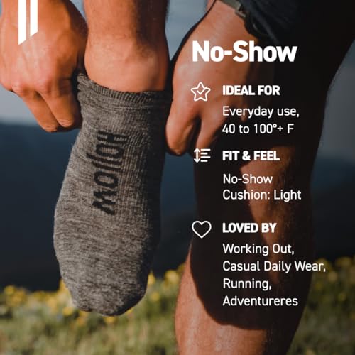 HOLLOW No Show Alpaca Socks 4 Pairs Large Black Moisture Wicking Unisex