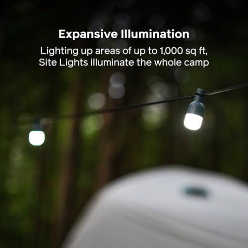 BioLite Rechargeable Solar Site Lights with Hangable Bulbs & Stakes