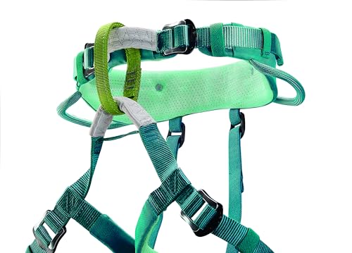 PETZL MACCHU Kids' Climbing Harness Atlantic Blue Adjustable Child Safety Gear