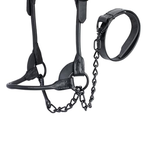 Medium Black Leather Livestock Halter for Showing and Handling - Adjustable Cow Calf Halter with 36" Lead