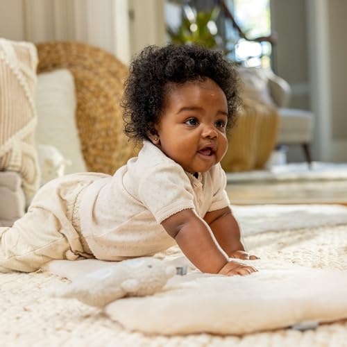 Ingenuity Wesley Swing 'n Go Portable Baby Swing for Newborn to 9 Months - Lightweight & Foldable