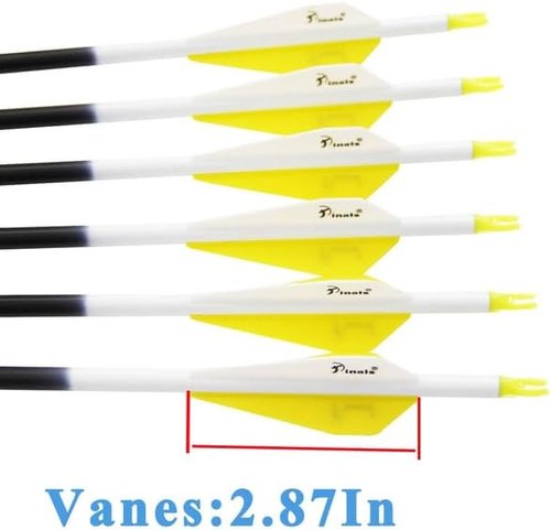Archery Carbon Arrows 300-800 Spine - 30-32 Inch Shafts for Compound & Recurve Bows | 12PCS Feathered Hunting Arrows