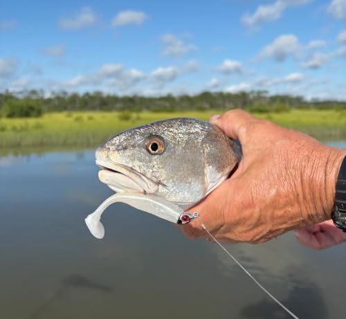 Soft Plastic Paddle Tail Swimbaits – 3 1/4", 4" & 5" Fishing Lures