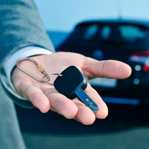 Skylety Mini Titanium Locking Clips - 20 Pack, D-Ring Keychain Buckles for Outdoor & Indoor Use, Lightweight & Durable
