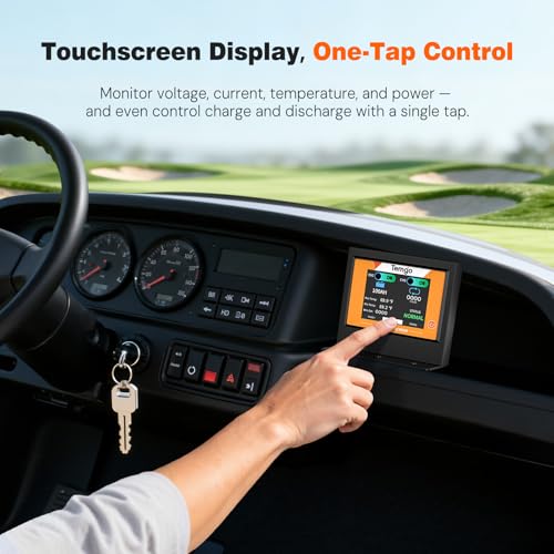 48V 100Ah LiFePO4 Lithium Golf Cart Battery with Bluetooth BMS & Charger