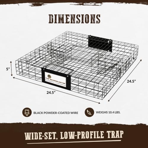 Humane Multi-Catch Squirrel Trap - 1 Pack for Wildlife Control