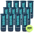 Teloon Championship Tennis Balls - Extra & Regular Duty, 36 Balls in 12 Cans - Pressure Sealed Professional Training Tennis Balls