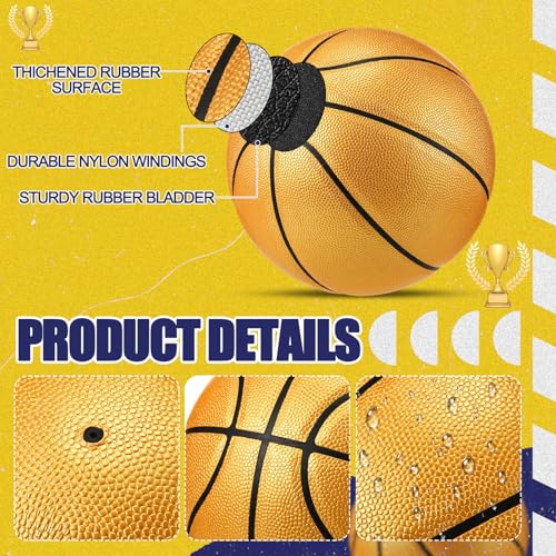 Gold Official Size 7 Autograph Basketball Set - 6 Balls with Pump & Signatures