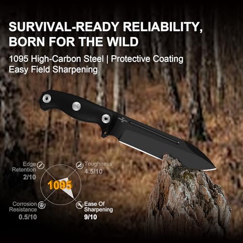 Kizer Drop Bear Fix 7 Fixed Blade Knife Black Handle 6.51" 1095 Steel Survival
