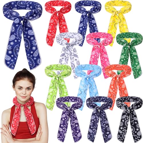Lenwen 12 Pcs Cooling Neck Wraps Ice Cooling Scarves Summer Bandana Headband Paisley
