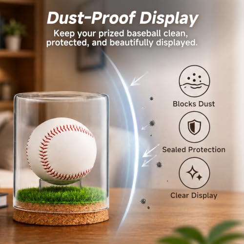 Baseball Display Case Large Glass Holder for Signed Baseballs - Rocalt