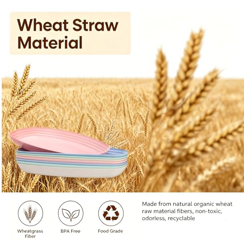 Microwave Safe Wheat Straw Dinner Plates - 8 Pack, 11 Inch Lightweight Shatterproof for Camping & Picnic