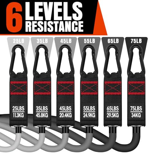 Heavy Resistance Bands for Workout - 300LBS Exercise Bands with Handles - Black, Grey