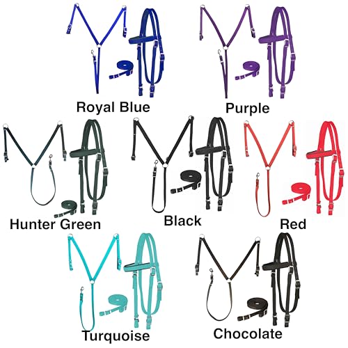 Equestrian Nylon Padded Browband Headstall Reins & Breastcollar Set - Full Turquoise